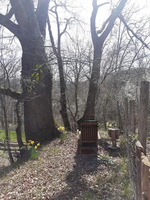 Hébergement de vacances Cosy Cabane Montbrun-Bocage